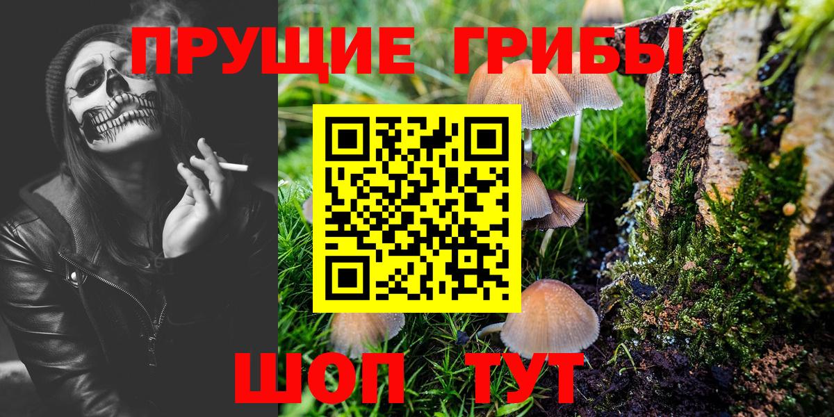 Псилоцибиновые грибы Cubensis Усть-Илимск